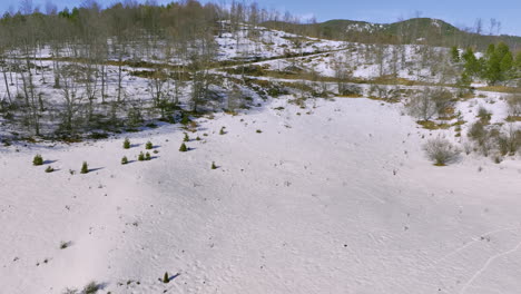 snow-covered winter landscape with forested hills and field