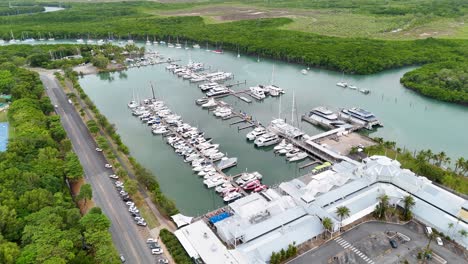 drone footage captures a marina surrounded by lush mangroves in port douglas, australia, under soft daylight