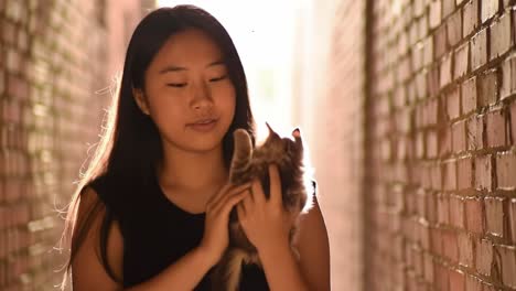 a heartwarming moment: a young woman cherishes her adorable kitten in a serene alleyway bathed in soft light, creating a touching bond between them