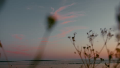 point of view shot of walking through beach flower with sky meeting horizon at background