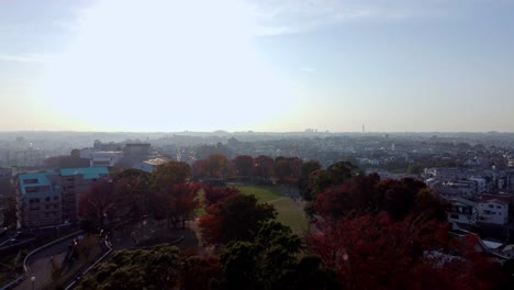 Árboles-Otoñales-En-El-Parque-Con-Paisaje-Urbano,-Cálida-Luz-Solar,-Vista-Aérea