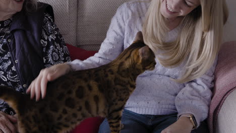 a woman pets a cat on a couch