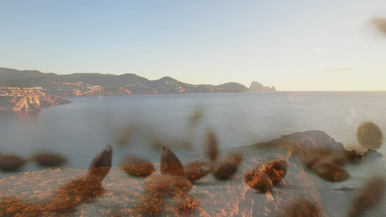 Blurred leaves overlaying serene ocean view with rocky coastline in background