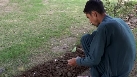 a close-up view of a gardener passionately tending to their plants.