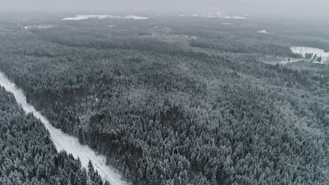 breath-taking aerial shot of dark forest in winter