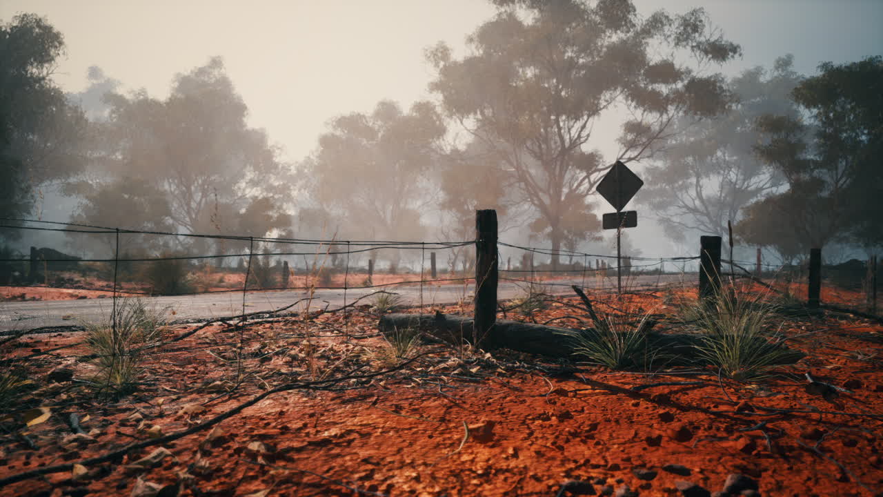 내륙의 안개가 가득한 도로