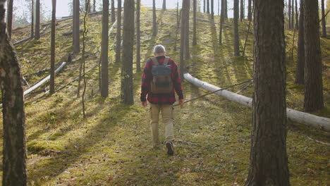 backpacker is gekleed in een rood geruite shirt loopt alleen in een zonnige herfst bos wandelen tussen de bomen achteruitzicht