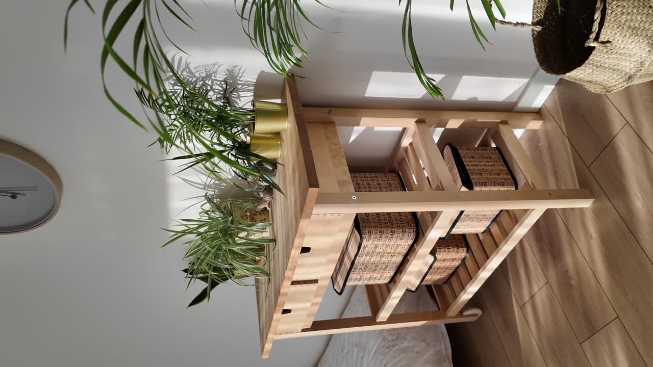 Indoor plants and home decor