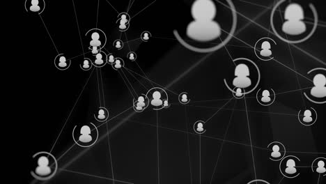 vinculación y conexión de personas en red