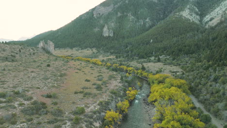 a small stream runs near a large mountain in argentina