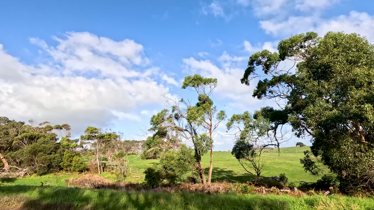 오스트레일리아의 울창한 풍경과 은 하늘