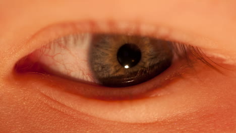el ojo de un niño