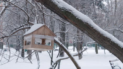 Comedero-Para-Pájaros-De-Invierno-En-El-Parque-Nevado