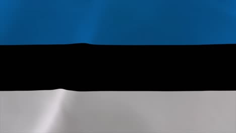 bandera estonia 4k con fondo de papel tapiz en movimiento