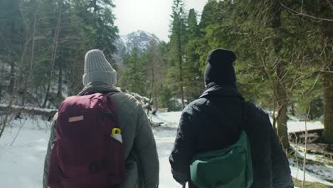 hikers in snowy mountains