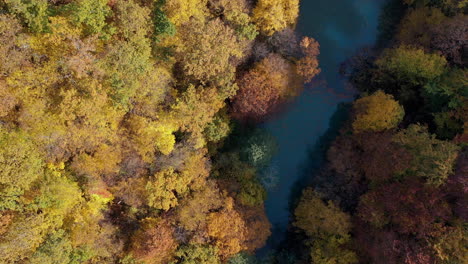 drone view aerial view autumn forest