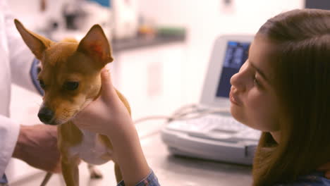 chica sosteniendo un perro para el veterinario