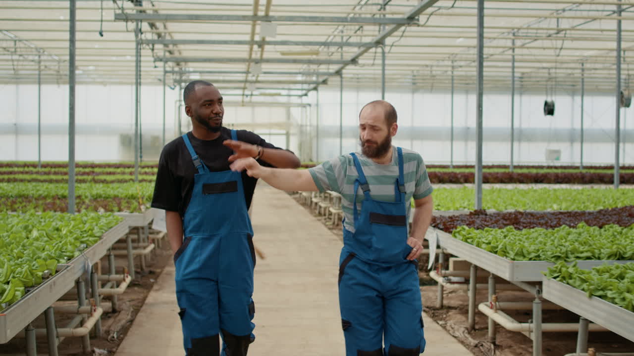 personas que trabajan en un invernadero