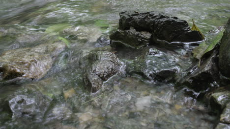 Close-up-of-a-Mountain-stream,-after-the-rain-with-rocks-and-green-leaves