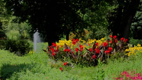 Blumenbeet-Im-Türkenschanzpark-Wien-Mit-Springbrunnen-Im-Hintergrund,-Umgeben-Von-Viel-Grün-An-Einem-Sonnigen-Tag