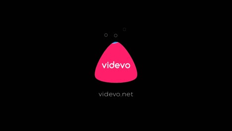 videvo logo variations
