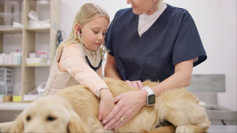 Vet-woman,-girl-and-dog-with-stethoscope