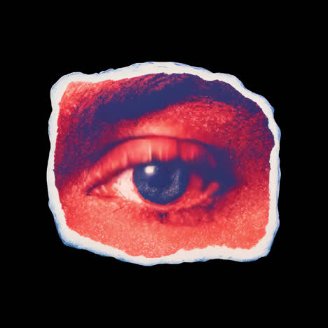 vibrant eye collage animation isolated asset, transparent 4k video, alpha channel, prores 4444