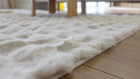 white fur rug on wooden floor