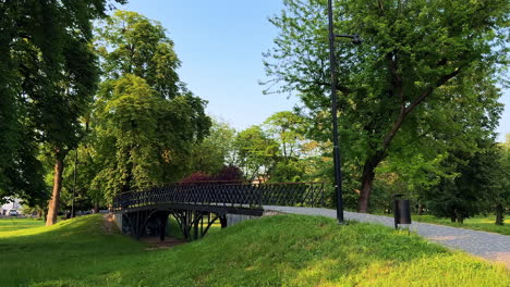 serene park bridge surrounded by trees. a small bridge arches over a grassy area in a lush park filled with vibrant green trees on a sunny day