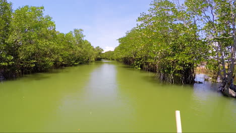 boat ride along a river with mangroves in pangasinan, philippines