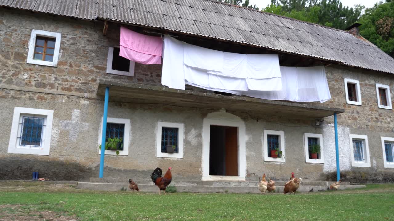 알바니아 북부 의 한 농장 앞 에 있는  들