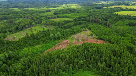 huge plot of forest being cut, aerial drone view