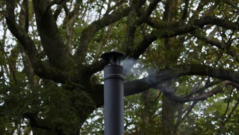 Mittlere-Einstellung-Eines-Metallschornsteins,-Aus-Dem-Rauch-Aufsteigt,-Dahinter-Ein-Großer-Baum