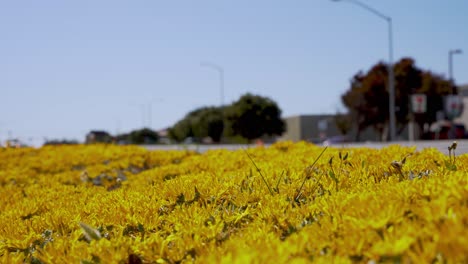 Traffic-passing-bay-the-highway