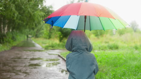 a child with a rainbow umbrella walks on a rainy path.