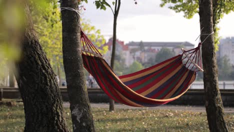 hammock in a park