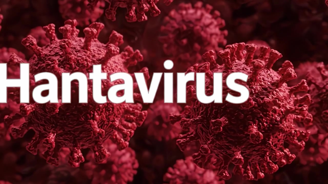 Exploring the Microcosm: A Detailed Examination of Hantavirus and Its Structure in High-Resolution Imagery for Educational Purposes.