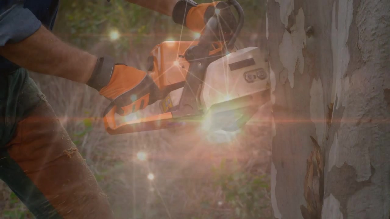 Gloved hands positioning chainsaw against trunk, worker cutting bark steadily for safe pruning