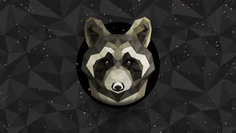 fondo de mapaches poligonales. cabeza de animal. animación de bucle de polígono bajo. vida silvestre geométrica. retrato de animal poligonal.