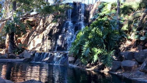 cascada que desemboca en un tranquilo estanque verde, toowoomba queensland