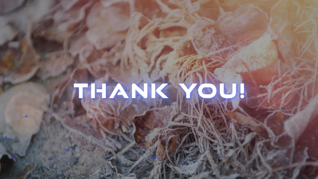 냉동 식물 위에 감사 텍스트의 애니메이션