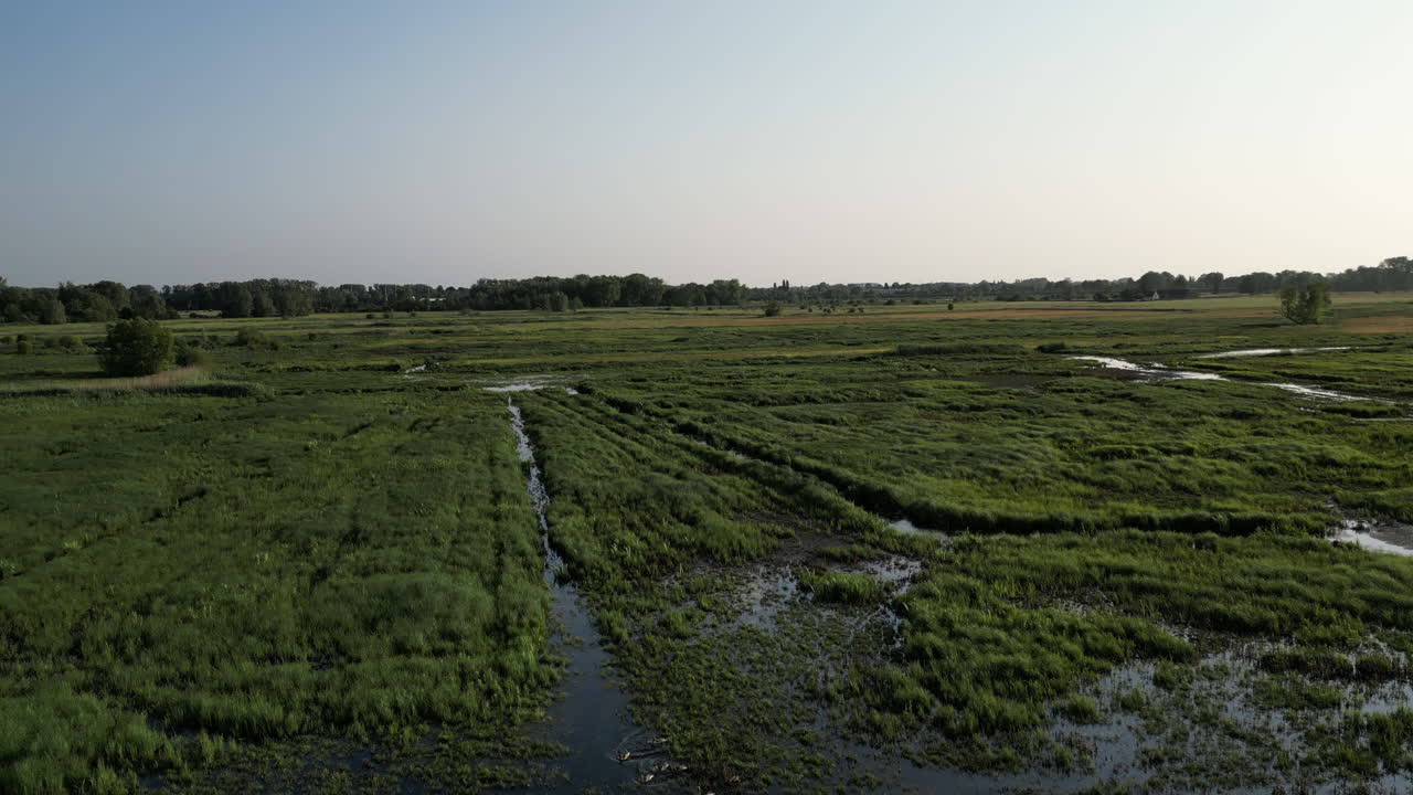 Ripresa aerea frontale lineare vicino a una palude erbosa della Riserva Naturale di Bourgoyen-Ossemeersen