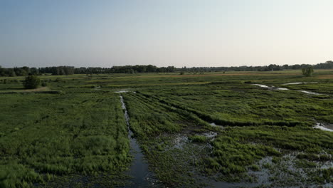 Antena-Delantera-Lineal-Cerca-Del-Pantano-Cubierto-De-Hierba-De-La-Reserva-Natural-De-Bourgoyen-ossemeersen