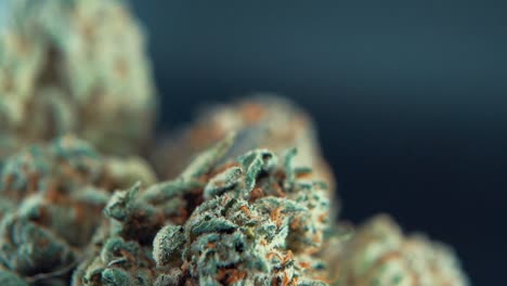 A-macro-close-up-crispy-shot-of-a-cannabis-plant,-marijuana-flower,-hybrid-strains,-Indica-and-sativa,-on-a-360-rotating-stand-in-a-shiny-bowl,-120-fps-slow-motion-Full-HD,-studio-lighting