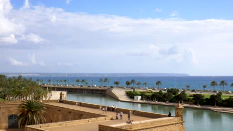 Cars-driving-on-a-palm-alley-with-people-in-the-foreground-and-the-sea-in-the-background