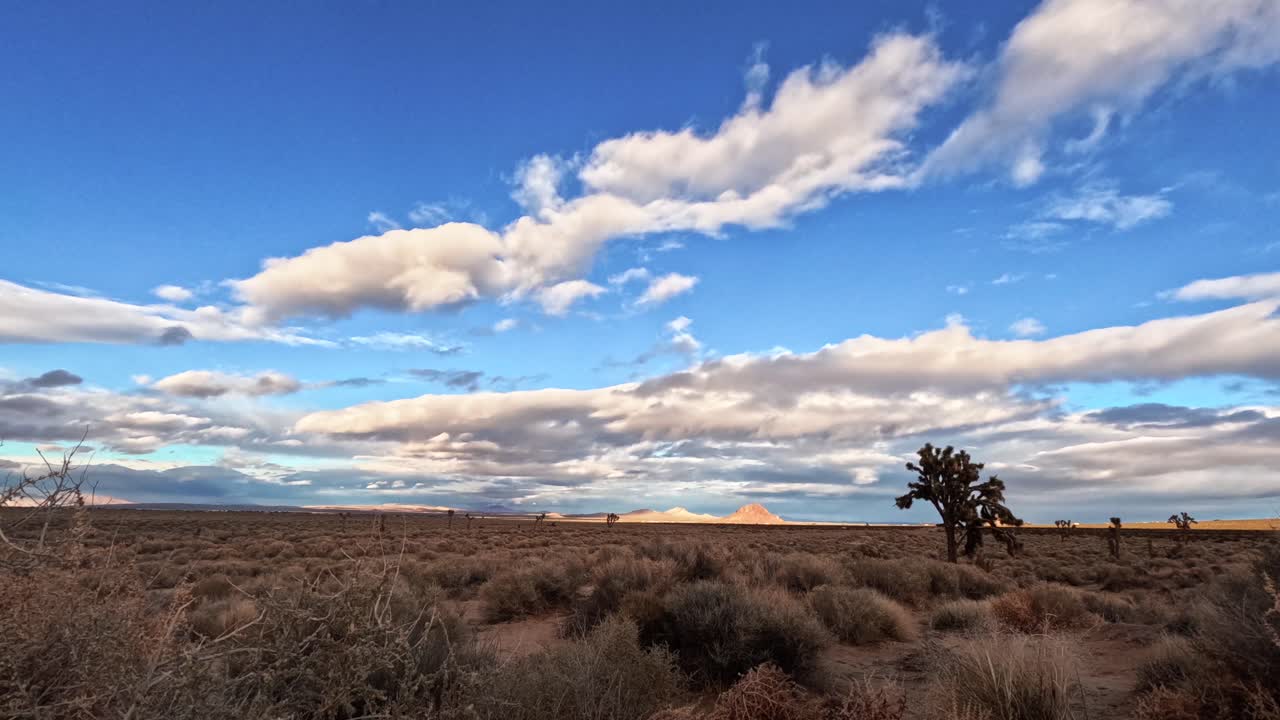 extenso paisaje desértico con un cielo azul claro, nubes dispersas, y un árbol de josué solitario, time-lapse
