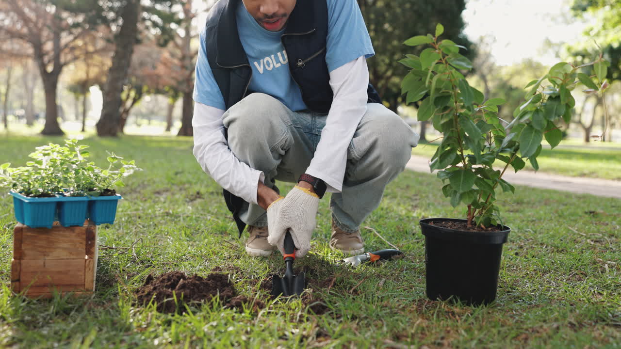 Volunteer Planting a Tree in a Park