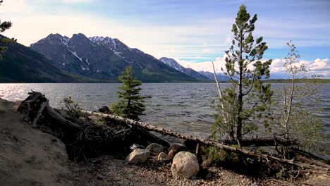 Orilla-Del-Lago-En-El-Parque-Nacional-Grand-Teton,-Wyoming