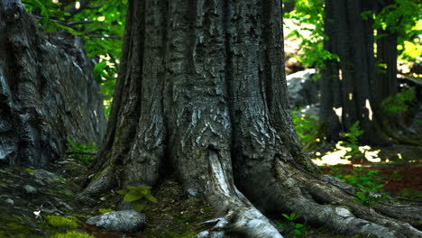 peaceful magical mossy forest scene