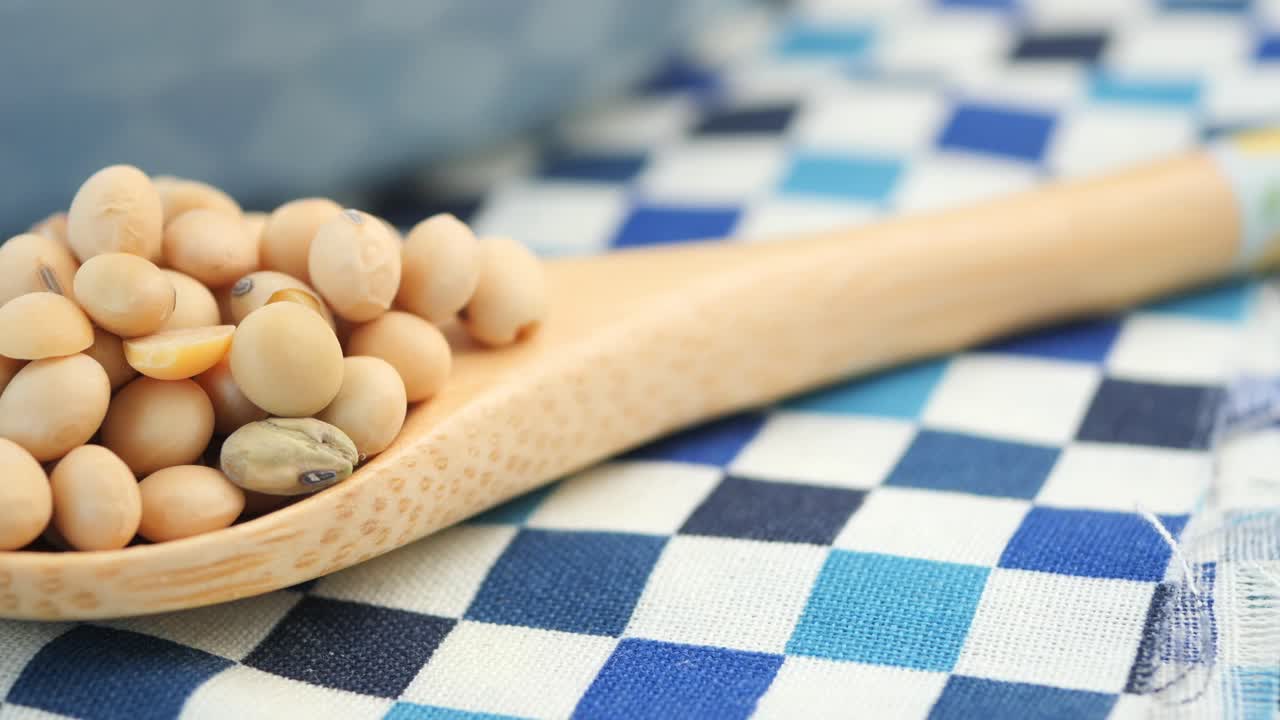 Soybeans in a Wooden Spoon